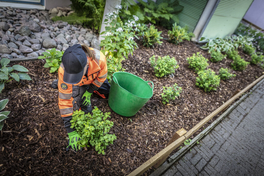 Anleggsgartner planter i et bed i et uteområde